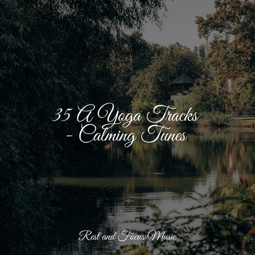 35 A Yoga Tracks - Calming Tunes