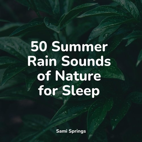 50 Summer Rain Sounds of Nature for Sleep