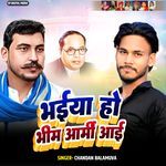 Bhaiya Ho Bheem Army Aai