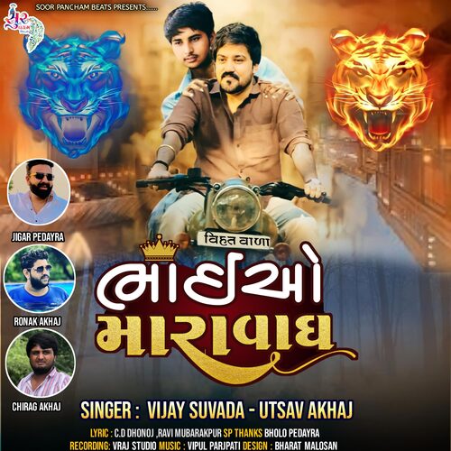 Bhaiyo Mara Vagh_poster_image