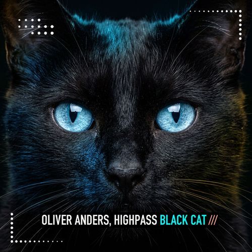 Black Cat