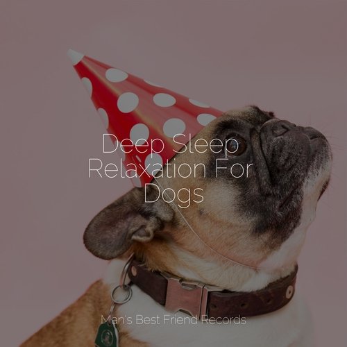 Sleepy Head cover art