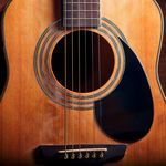 The Calm of Each Strum