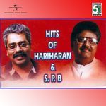 Paatukku Palaivanam (From "Ananda Poonkaatrae")