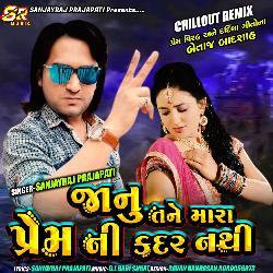 Janu Tane Mara Prem Ni Kadar Nathi (Remix)-IyMxaQ4BcFw