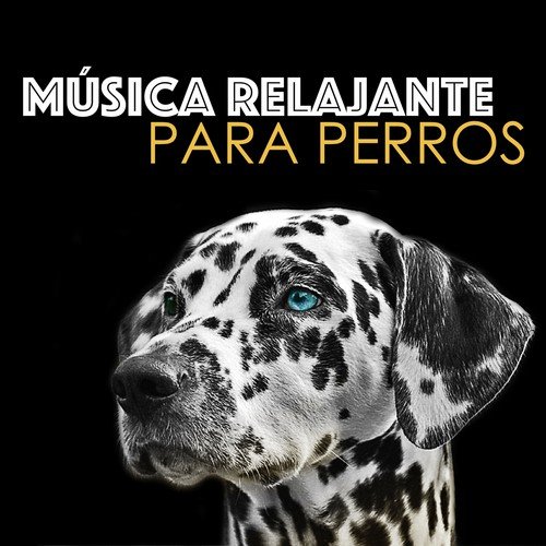 Música Relajante para Perros - Musicoterapia para Perro, Gato y Mascotas