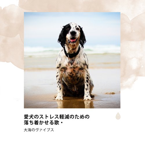 愛犬のストレス軽減のための落ち着かせる歌・大海のヴァイブス