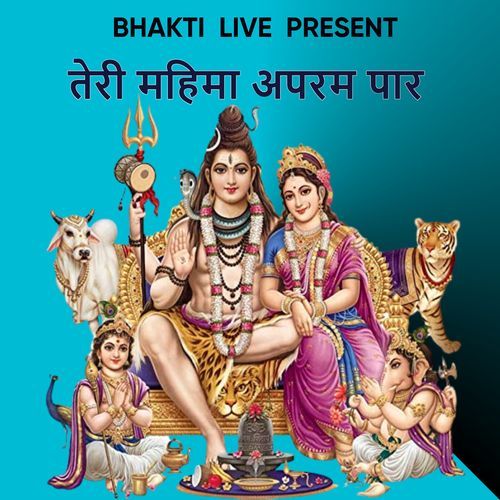 तेरी महिमा अपरम पार