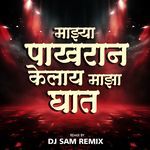 Majhya Pakharan Kelay Maza Ghat (Dj Sam Remix)