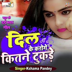 Dil Ke Karoge Kitne Tukde-M1ldeRJJeXA