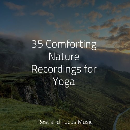 NUM Comforting Nature Recordings for Yoga_poster_image