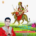 Na Main Tenu Bhulan Na Tu Mainu Bhule