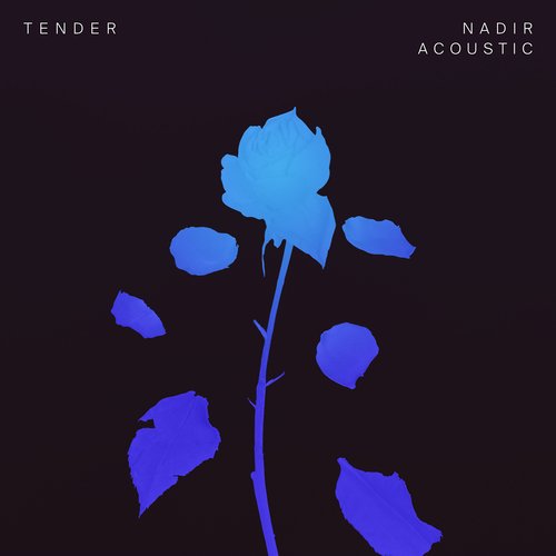 Nadir (Acoustic)_poster_image