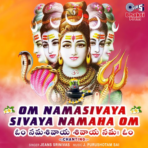 Om Namasivaya Sivaya Namaha Om  (Chanting)_poster_image