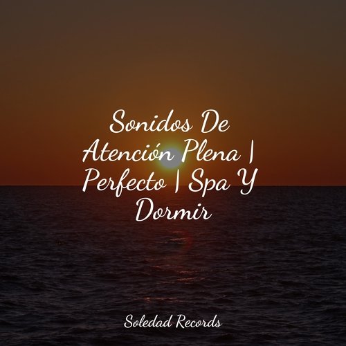 Sonidos De Atención Plena | Perfecto | Spa Y Dormir