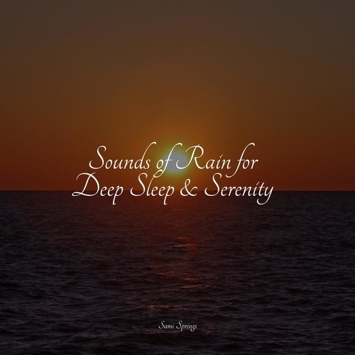 Sounds of Rain for Deep Sleep &amp; Serenity_poster_image