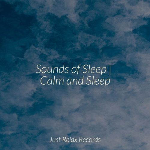 Sounds of Sleep | Calm and Sleep