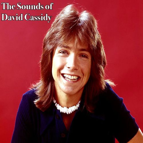 The Sounds of David Cassidy