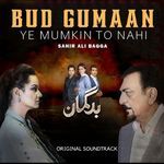 Ye Mumkin To Nahi - LOFI