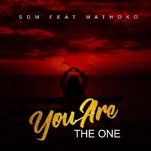 You Are the One (feat. Mathoko)_poster_image