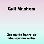 Zra me da banro pa khangar ma waha