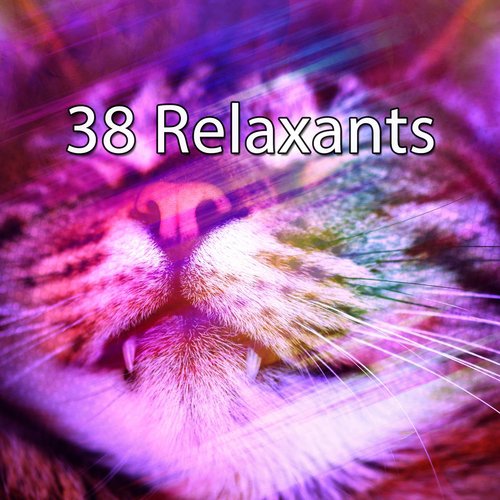 38 Relaxants