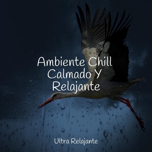 Ambiente Chill Calmado Y Relajante_poster_image