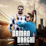 Baman Baaghi Dj Remix