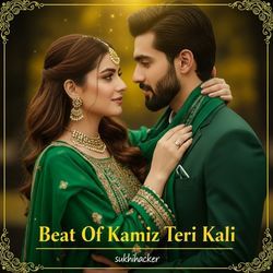 Beat Of Kamiz Teri Kali