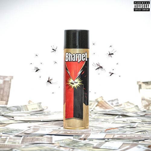 Bharpet (feat. dilliboy)