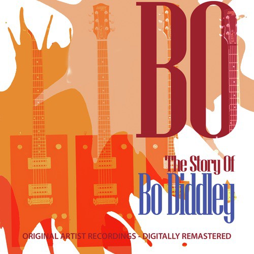 Bo! The Story of Bo Diddley