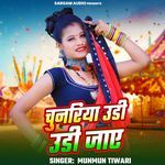 Chunariya Udi Udi Jaaye (From "Chunariya Udi Udi Jaaye")