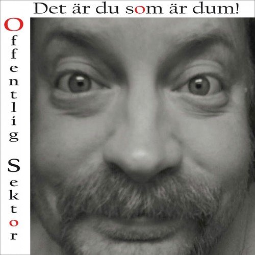 Dom pratar strunt cover art