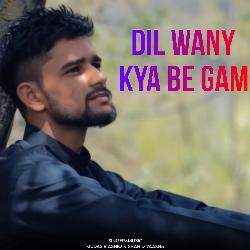 Dil Wany Ba Kya Gam-IDJTZR1vcWM