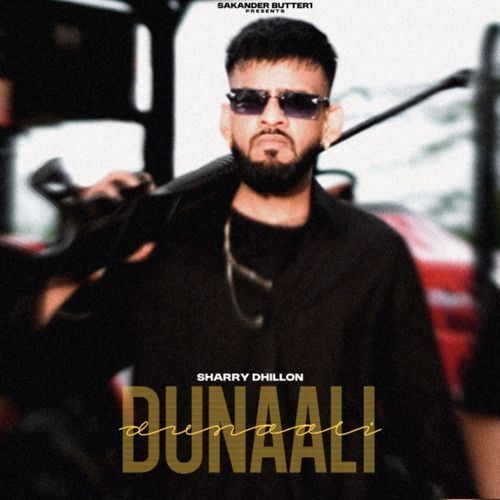 Dunaali