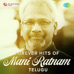 Forever Hits Of Mani Ratnam - Telugu