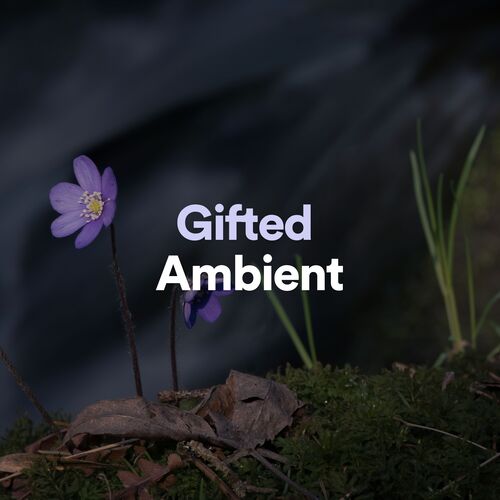 Gifted Ambient