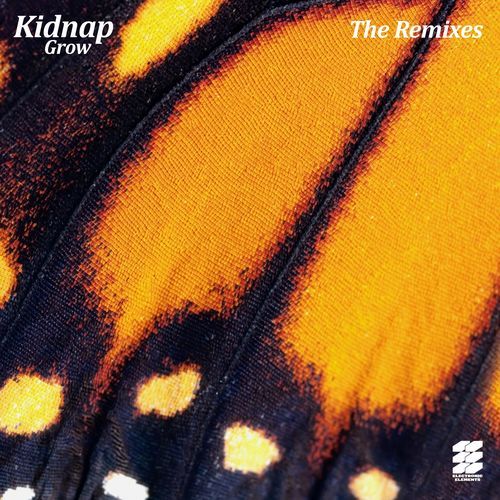 This Unfriendly World (Budakid Remix) cover art