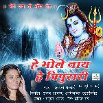 Hey Bholenath Hey Tripurari