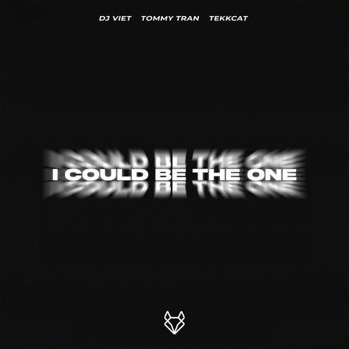 I Could Be The One (HardTekk)
