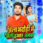 Jila Bhadohi Me Chale Hamar Namva