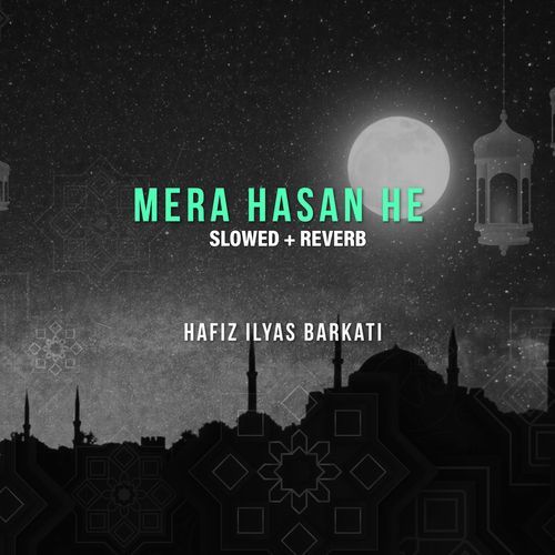 Mera Hasan He (Lofi-Mix)