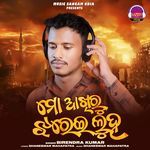 Mo Akhiru Jharei Luha