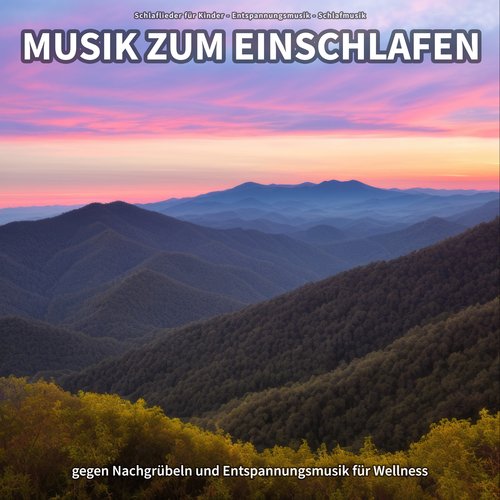 Musik zum Einschlafen gegen Nachgrübeln und Entspannungsmusik für Wellness_poster_image