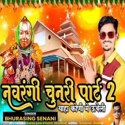 Navrangi Chunari, Pt. 2