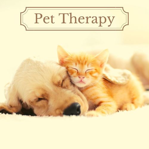 Relax My Dog cover art