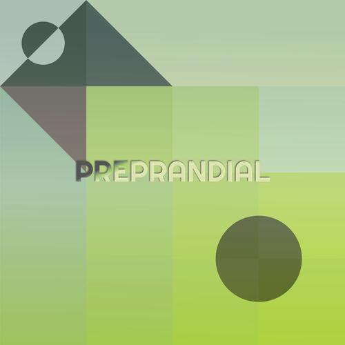 Reinhardt Pianoist cover art