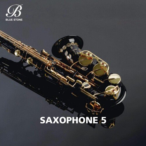 Saxophone 5