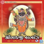 Shrinathji Satsang Part - 1