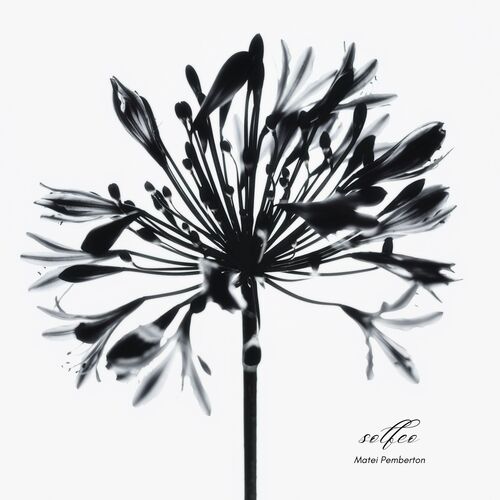 Solfeo cover art